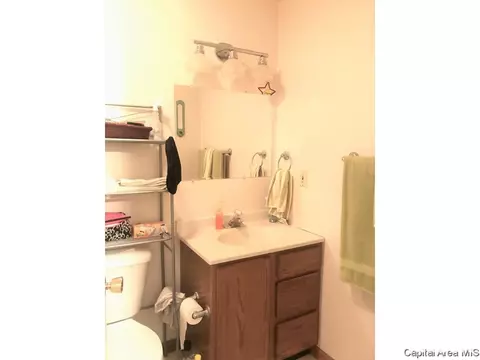 2628 Steiler Pl, Springfield, IL 62703 photo 13