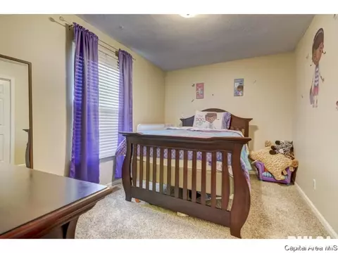 1604 Brenda Ct, Springfield, IL 62702 photo 14