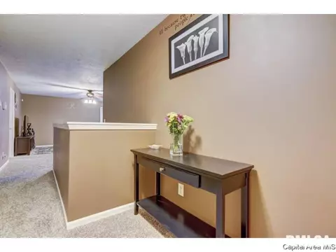 1604 Brenda Ct, Springfield, IL 62702 photo 9