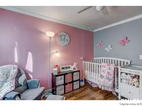 2260 E Keys Ave, Springfield, IL 62702 photo 19