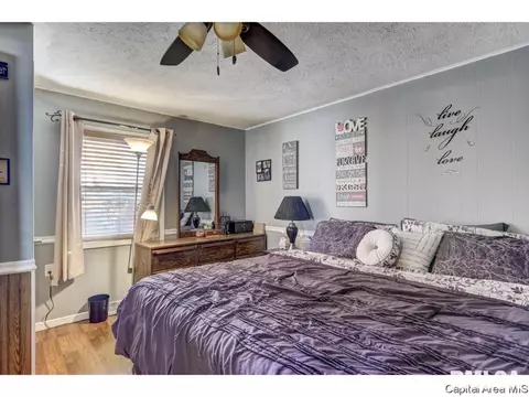 2260 E Keys Ave, Springfield, IL 62702 photo 14