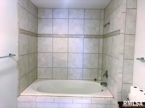 1711 Tern Pl, Springfield, IL 62711 photo 14