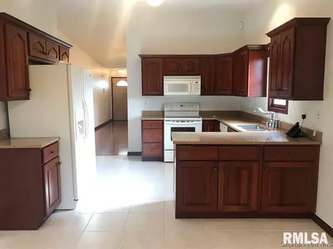 1711 Tern Pl, Springfield, IL 62711 photo 8