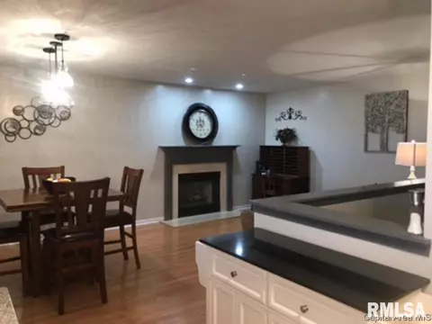 3921 Mccormick Dr, Springfield, IL 62707 photo 9