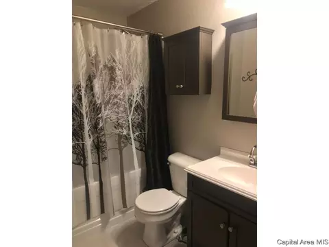 3921 Mccormick Dr, Springfield, IL 62707 photo 22