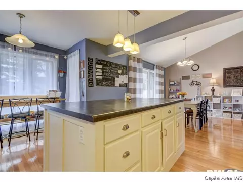 1112 Steeplechase Ln, Springfield, IL 62712 photo 13