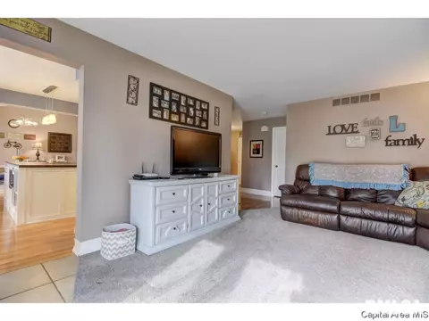 1112 Steeplechase Ln, Springfield, IL 62712 photo 20
