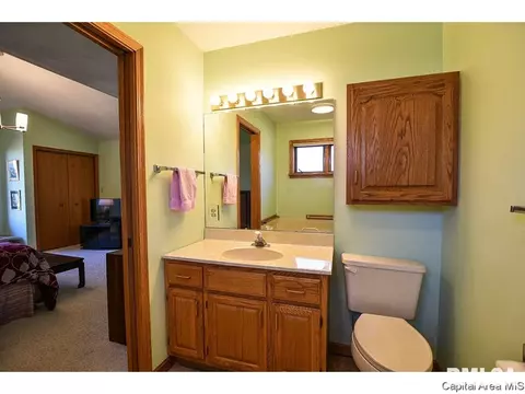 1908 Sun Mill Ct, Springfield, IL 62704 photo 20
