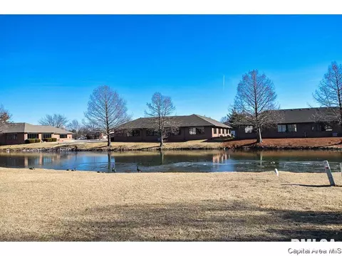 1908 Sun Mill Ct, Springfield, IL 62704 photo 35