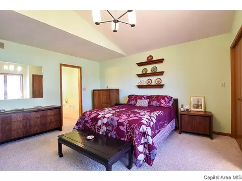 1908 Sun Mill Ct, Springfield, IL 62704 photo 18