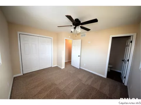14517 Prairie Trl, Athens, IL 62613 photo 17