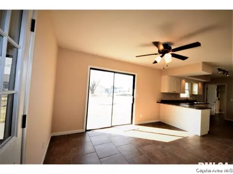 14517 Prairie Trl, Athens, IL 62613 photo 10
