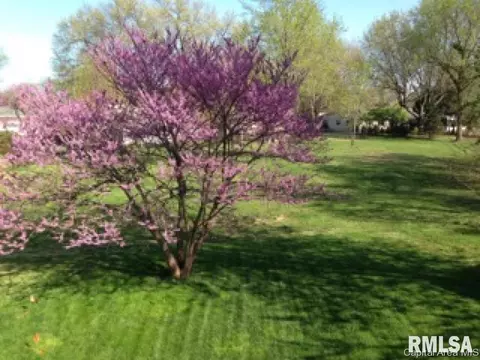 72 Andover Dr, Springfield, IL 62704 photo 31
