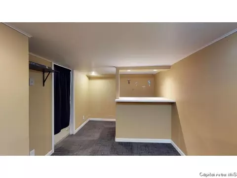 1904 S 2nd St, Springfield, IL 62704 photo 32