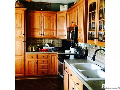 605 S Douglas Ave, Springfield, IL 62704 photo 8