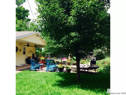 605 S Douglas Ave, Springfield, IL 62704 photo 20