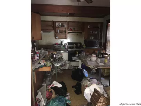 1121 E Converse St, Springfield, IL 62702 photo 13