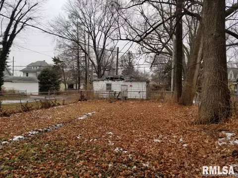 1121 E Converse St, Springfield, IL 62702 photo 6