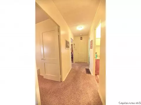 10 Ruth Ct, Springfield, IL 62704 photo 14