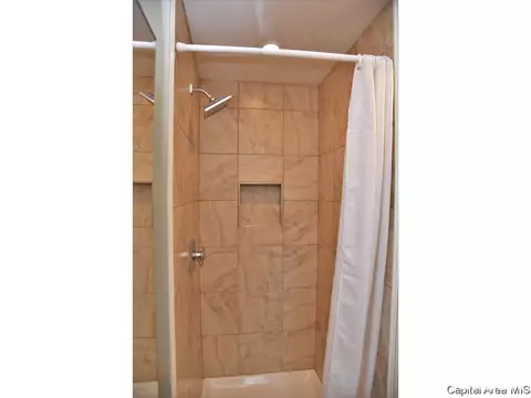1333 Holmes Ave, Springfield, IL 62704 photo 9