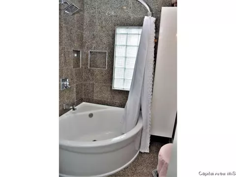 1333 Holmes Ave, Springfield, IL 62704 photo 16