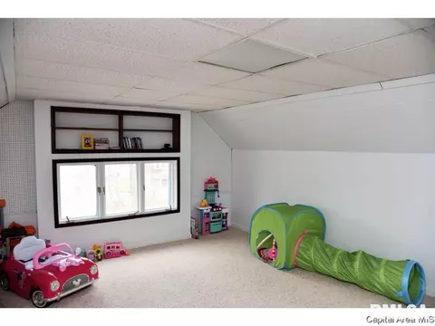 1333 Holmes Ave, Springfield, IL 62704 photo 30