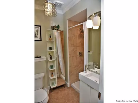 1333 Holmes Ave, Springfield, IL 62704 photo 7