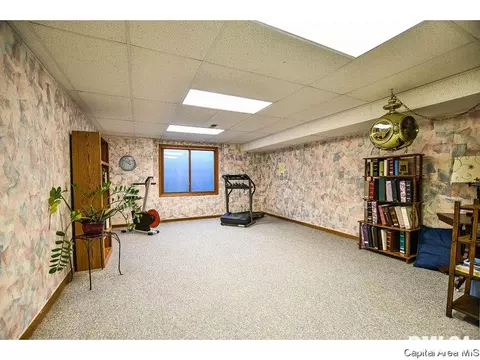 5313 Collins Way, Springfield, IL 62703 photo 27