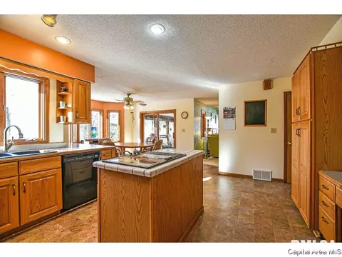 5313 Collins Way, Springfield, IL 62703 photo 10
