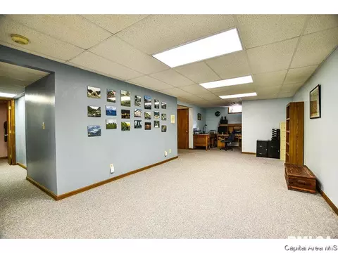 5313 Collins Way, Springfield, IL 62703 photo 29