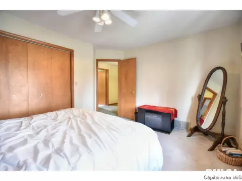 5313 Collins Way, Springfield, IL 62703 photo 23