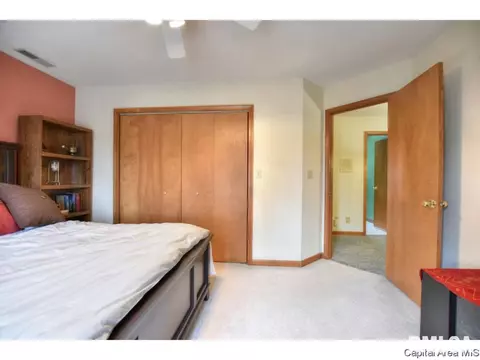 5313 Collins Way, Springfield, IL 62703 photo 22