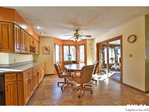 5313 Collins Way, Springfield, IL 62703 photo 13