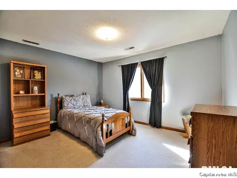 5313 Collins Way, Springfield, IL 62703 photo 21