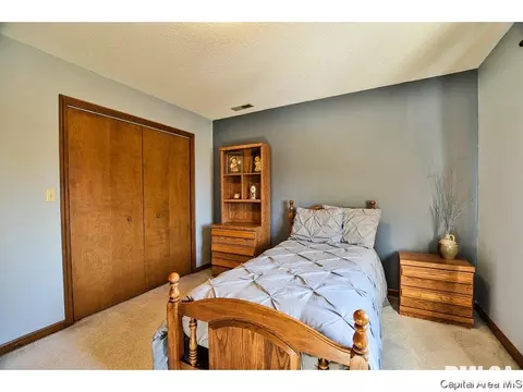 5313 Collins Way, Springfield, IL 62703 photo 20