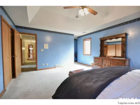 5313 Collins Way, Springfield, IL 62703 photo 19