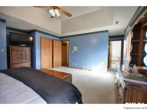 5313 Collins Way, Springfield, IL 62703 photo 18
