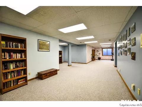 5313 Collins Way, Springfield, IL 62703 photo 26