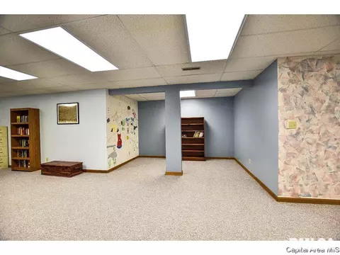5313 Collins Way, Springfield, IL 62703 photo 28