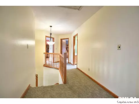 5313 Collins Way, Springfield, IL 62703 photo 16
