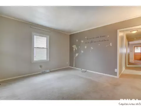 126 N State St, Springfield, IL 62702 photo 7
