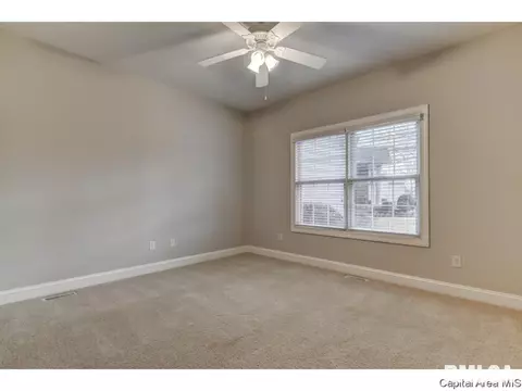 446 Elle Ct, Springfield, IL 62711 photo 20