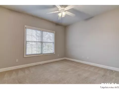 446 Elle Ct, Springfield, IL 62711 photo 17