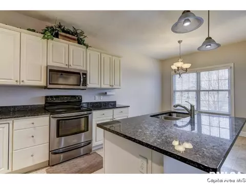446 Elle Ct, Springfield, IL 62711 photo 9