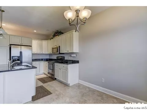 446 Elle Ct, Springfield, IL 62711 photo 10