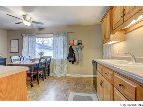 1325 Crestview Dr, Springfield, IL 62702 photo 11