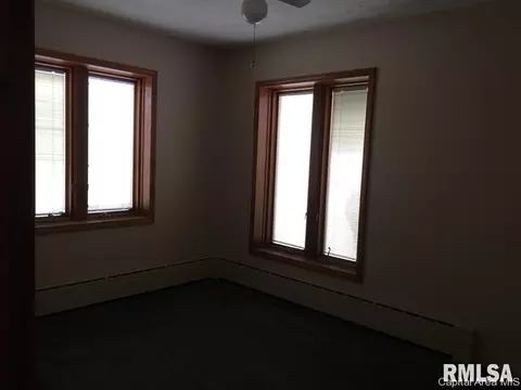 213 W Wilson, Bluffs, IL 62621 photo 6