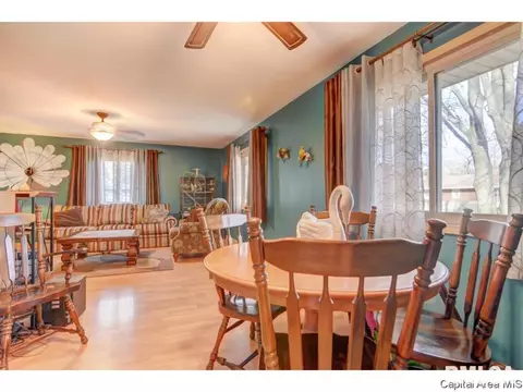 3112 Temple Dr, Springfield, IL 62704 photo 14