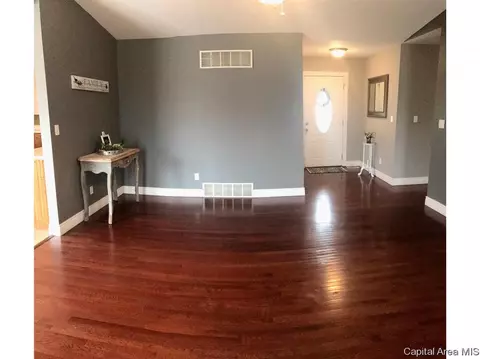4204 Clearwater Ln, Springfield, IL 62703 photo 6