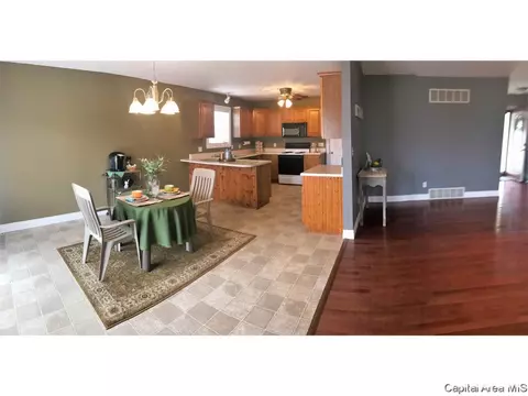 4204 Clearwater Ln, Springfield, IL 62703 photo 15